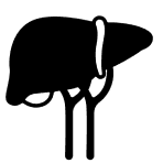 liver icon